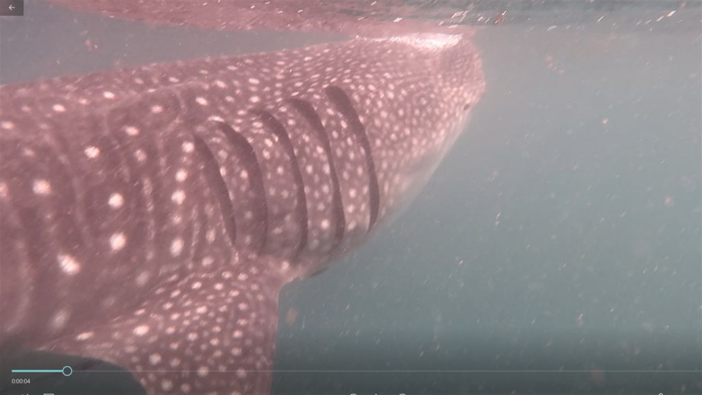 a00aafb3-4aa4-4853-96c0-9936750893b8