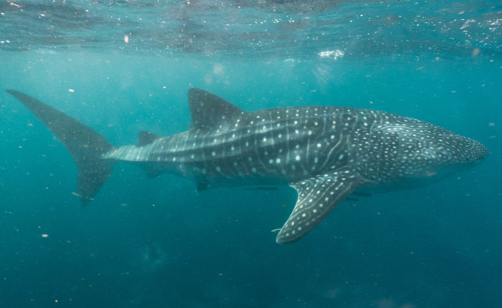 5af1bbc3-52b3-4a36-a985-253a7d7fe624