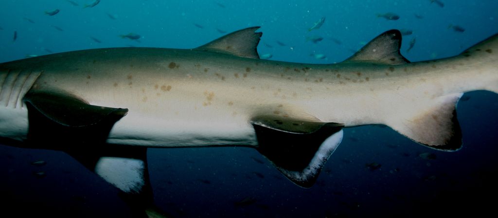 dcebe3fc-b53a-4e65-9e08-d2fe1832c731