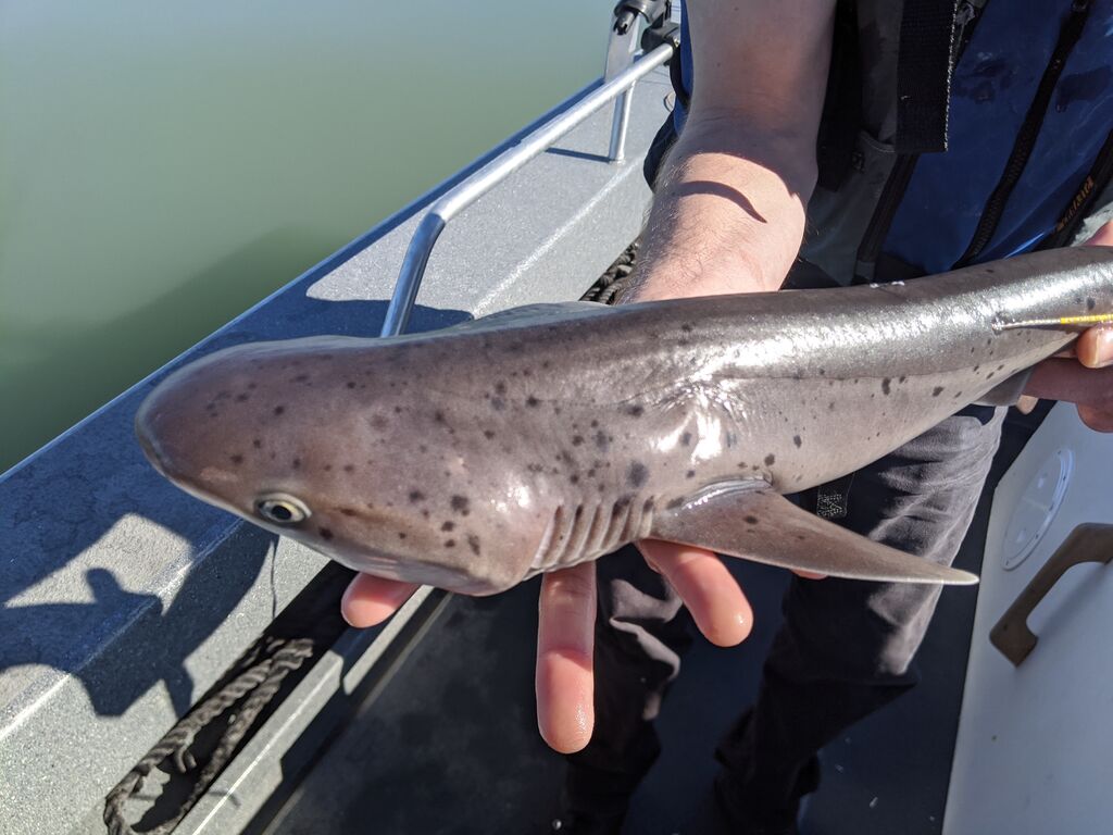 dc3d8725-fc68-4b78-af06-7b455f7a09bc