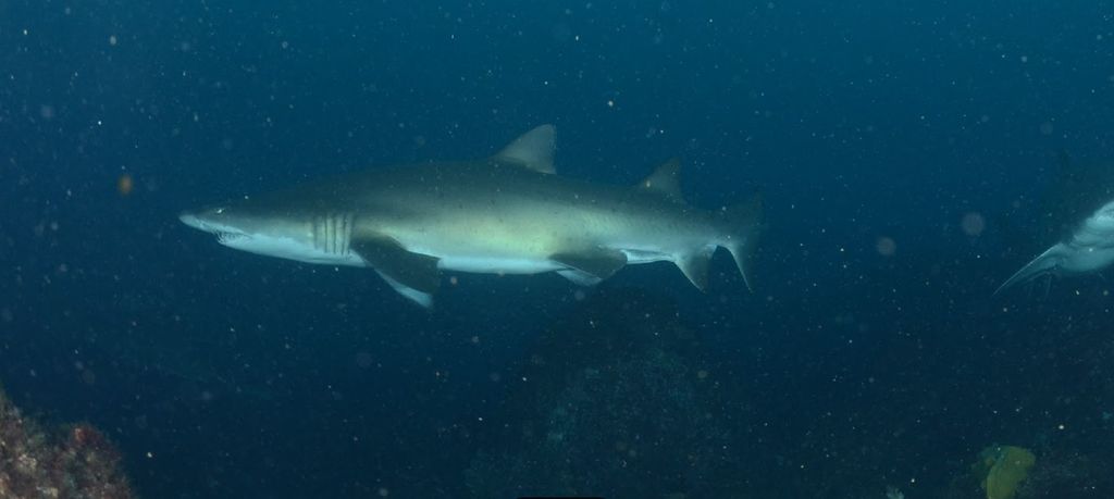 fcc56258-1506-4286-87a4-b334ea7b384f