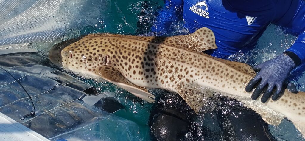 b68e8e5a-b368-40a0-939f-8f079c315aa0