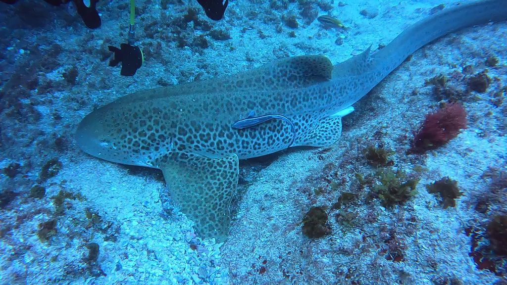 9a20f94f-7c8b-4476-8c86-db3ee513e758