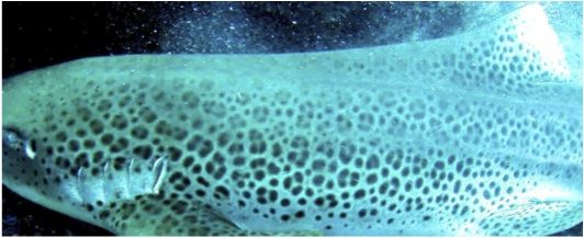 63a01d2e-4dc7-4832-84ad-b4e8831af023