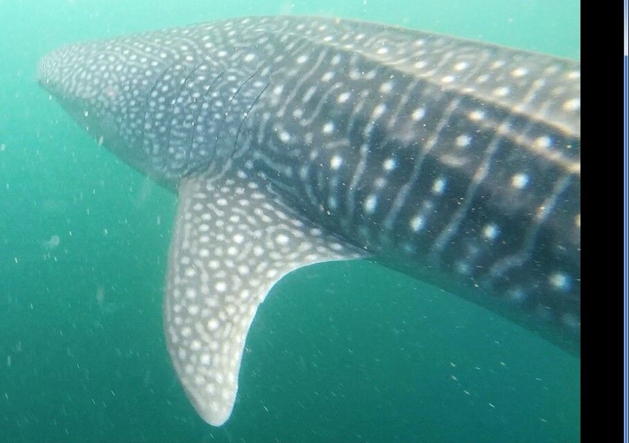 48f2268a-5106-46d8-ba3d-98de2a4331a9