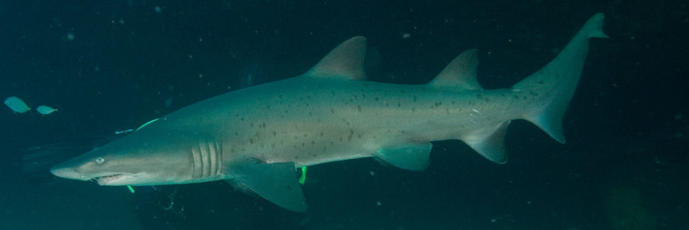 dc83292d-3fda-4aff-905b-1fd35349cc17