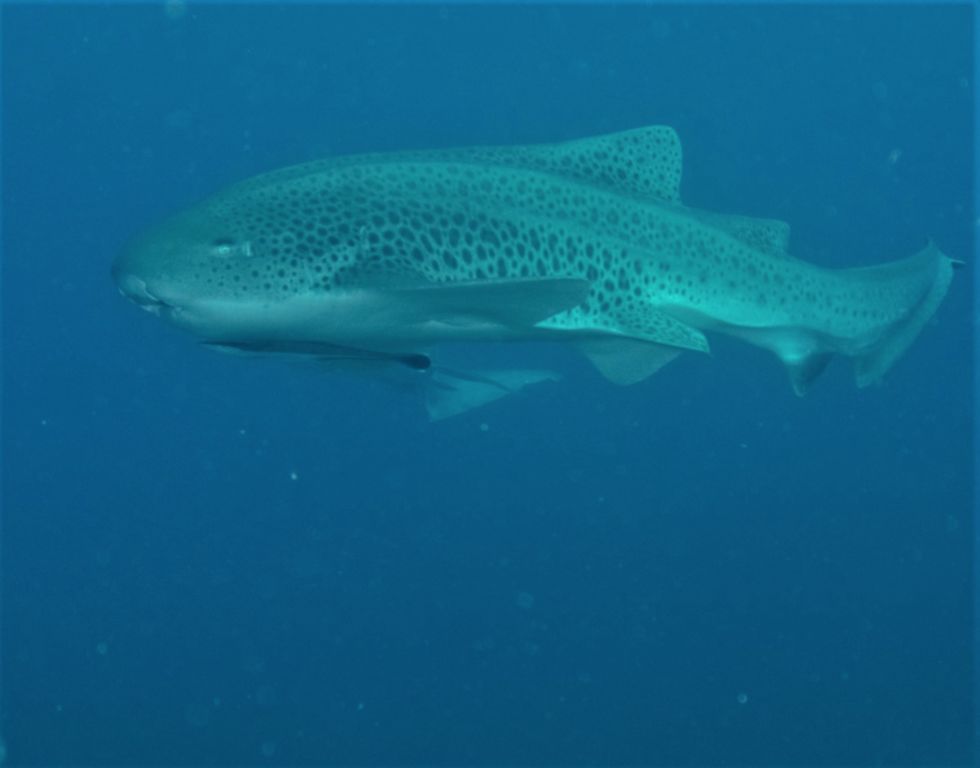 1e726553-6e4c-4edc-bba5-a78dd1ddb617