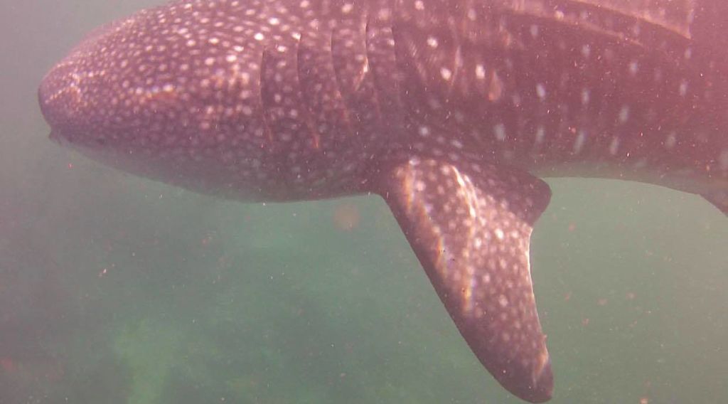 a56e3804-8cdf-4823-9e5c-bcd7c88d968b