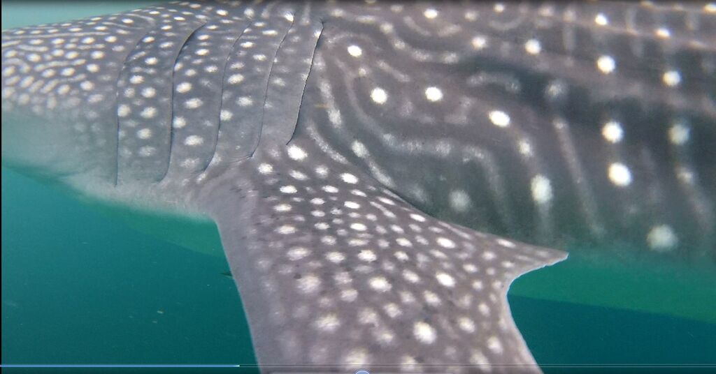 dc1c0b5e-89a6-4a39-b36f-5e8616ec8409