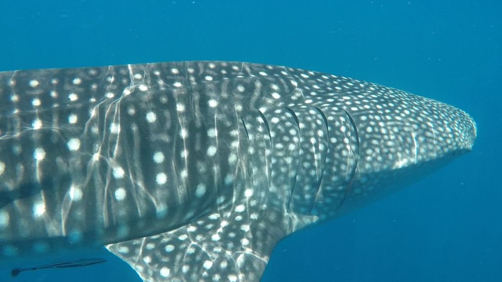 dfdbd774-664c-4d8c-8795-2efcc0e2d84e