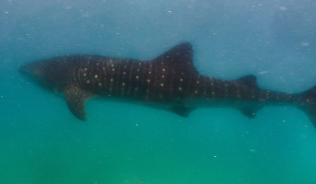 c6f4b626-5fb2-44c4-b69f-ca99eaed46f4