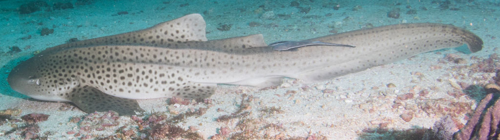 23cc2d04-8df3-4852-82b1-9601e7ec4ccc