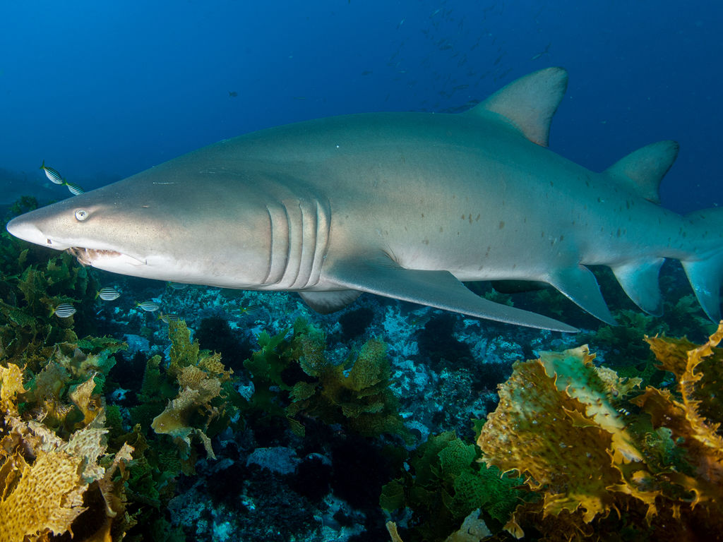 7e2276ee-f760-4c2a-9f52-253d474e73ba