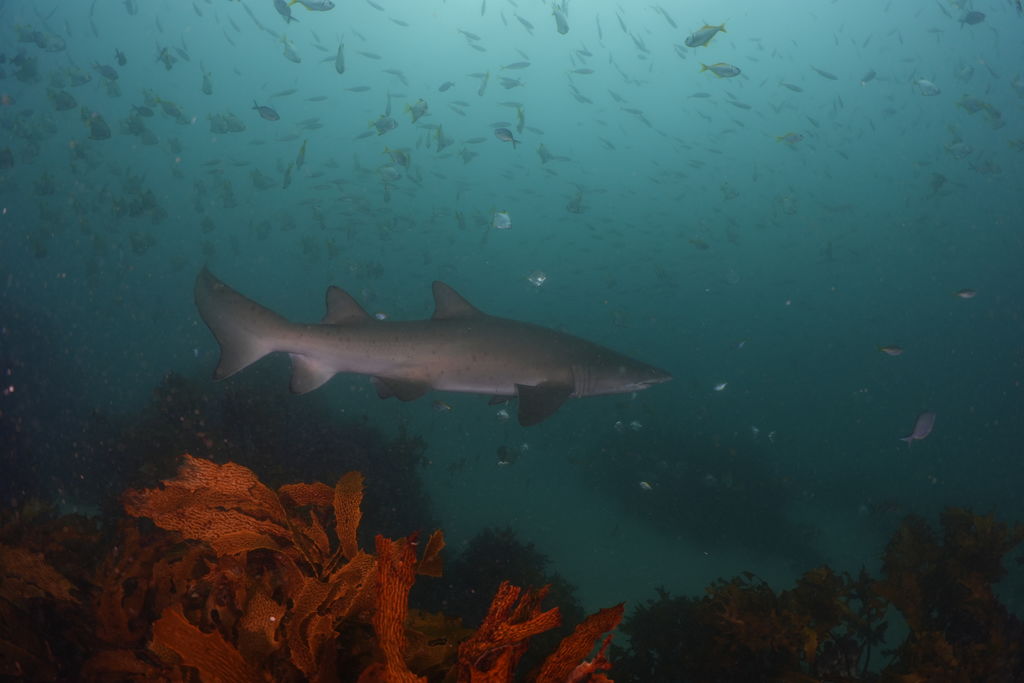 a150ab08-0f3d-47ec-b418-4db3e2a836e9