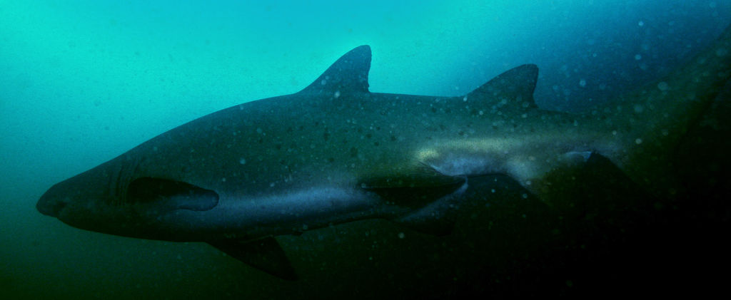 56b01f76-eb5e-4eda-865d-843d94043256