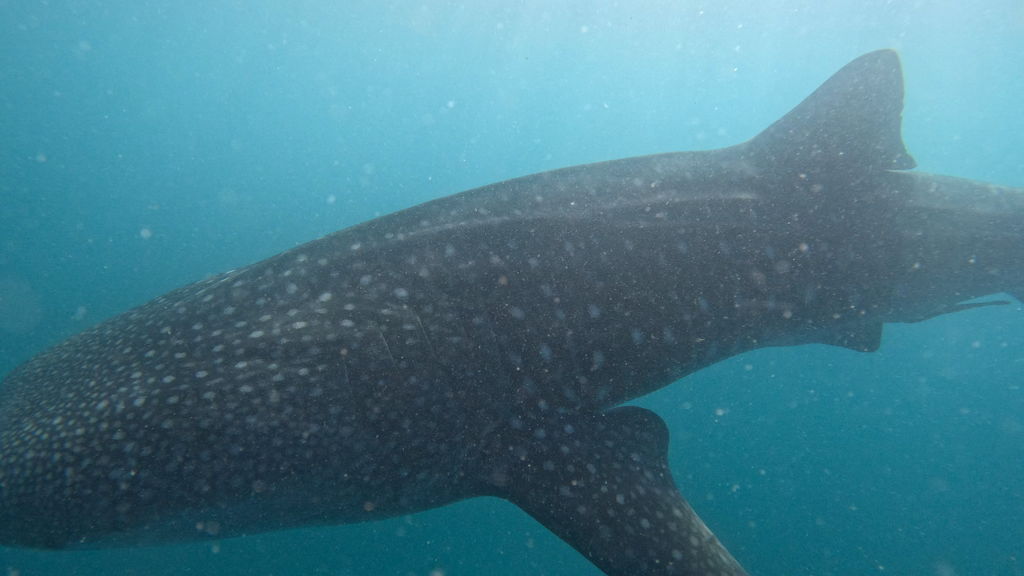 4ab9ea3f-8bad-451a-996e-5ce19791c518