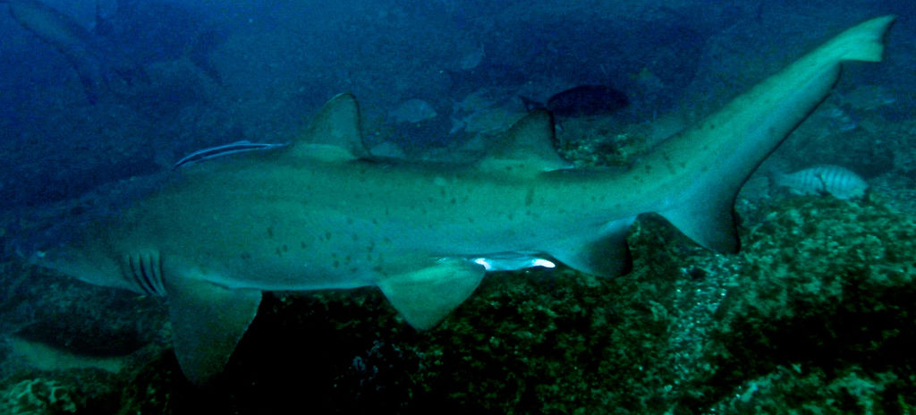 710310b1-7065-4091-a1ed-d3bc1735571a