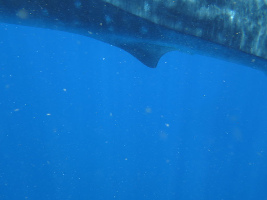 e59eded3-6313-4ea6-aee4-fc943415169b