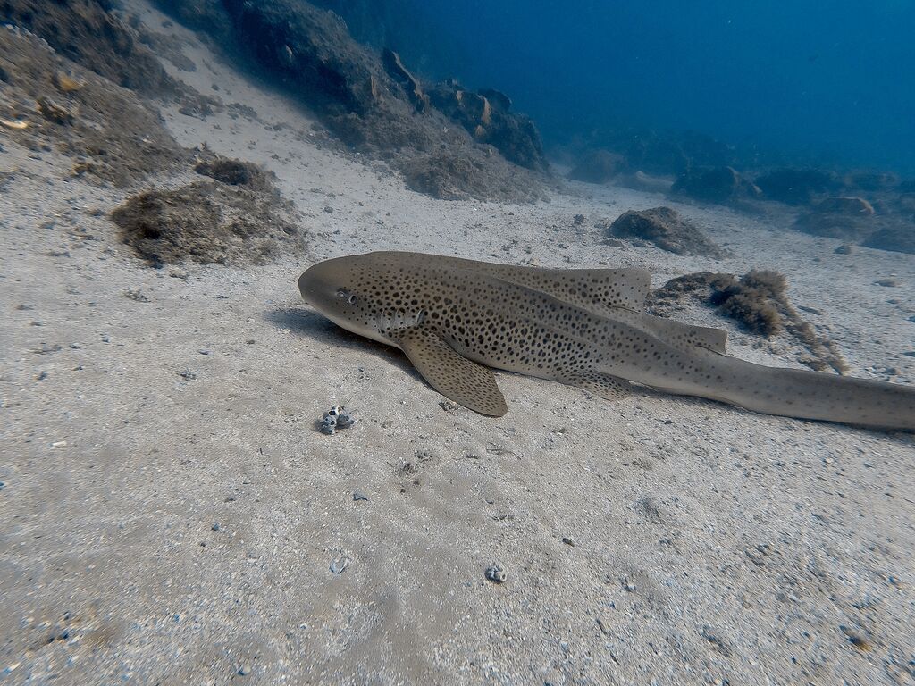 885aea94-ee27-4fbb-a8de-8bf0cacf6023