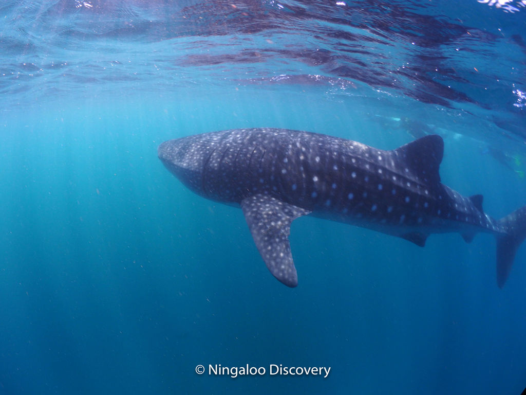 7a6d7be1-9352-4c71-af5b-a500dccaed13