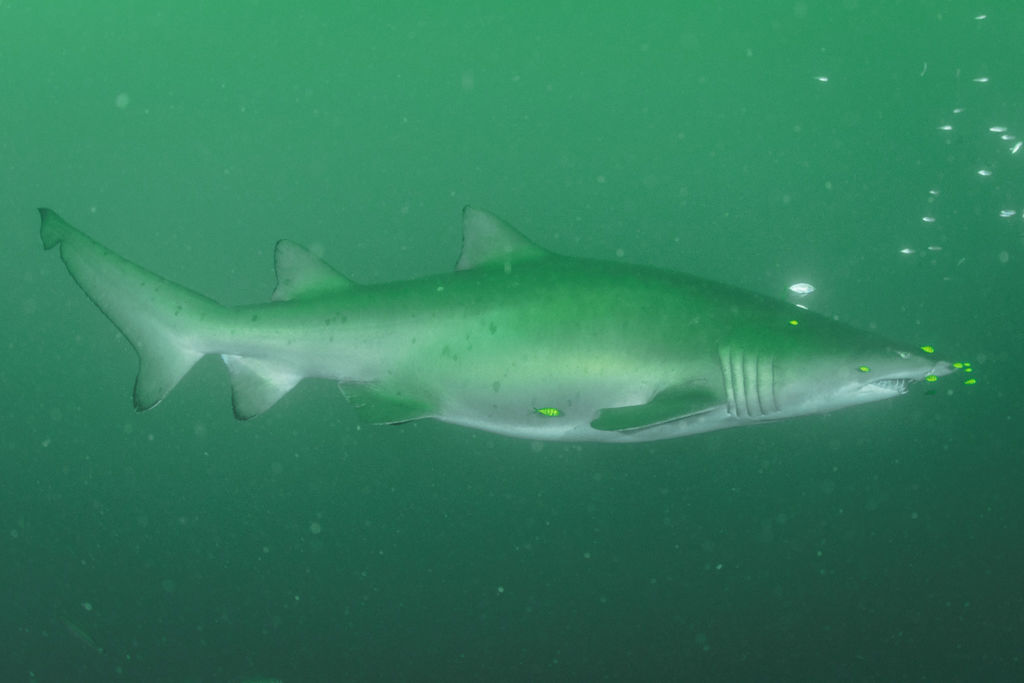 7639a2ce-3b7a-4de5-be53-25bab87428bb