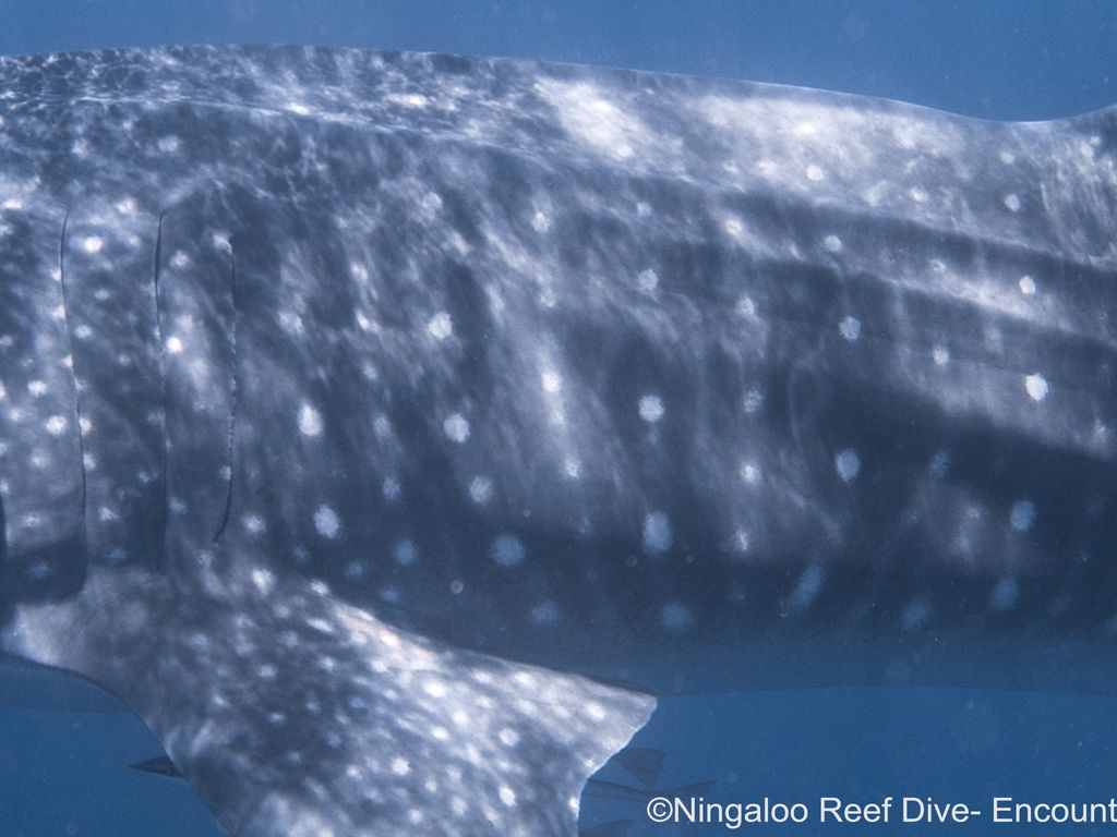 9b804dbe-106f-4a50-8e5c-0a3282d250eb