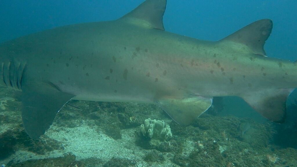 26493e76-125a-4edf-a14e-240648aa960f