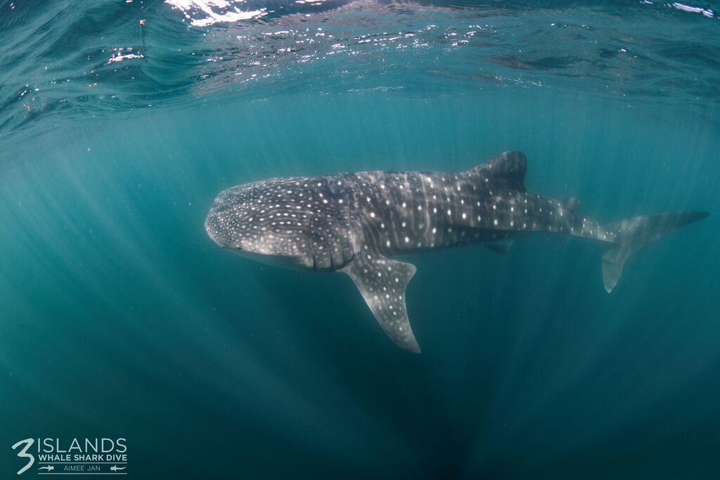 08ed7e23-6304-48d1-856e-a678efffff57