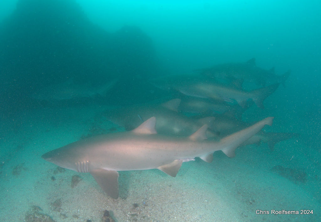 faf6f830-bd3c-46ce-a8ff-61034cdb3436