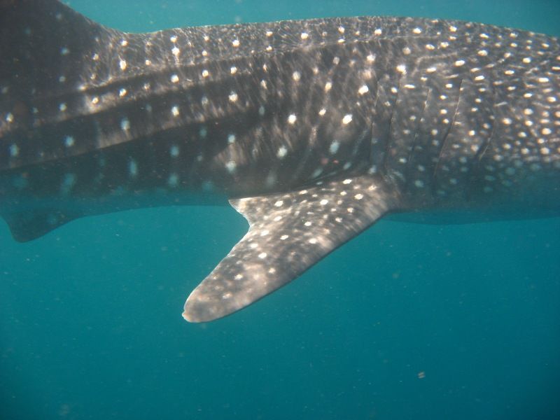 edbeaf5f-664f-408e-8ec8-eda6b0f065f2