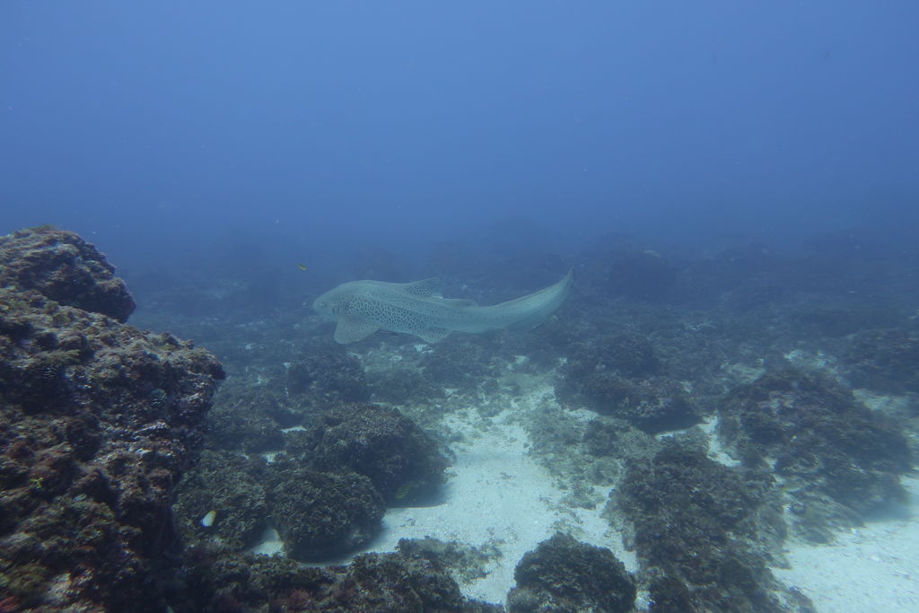 43ab1982-c159-49a4-bd39-d732260af36a