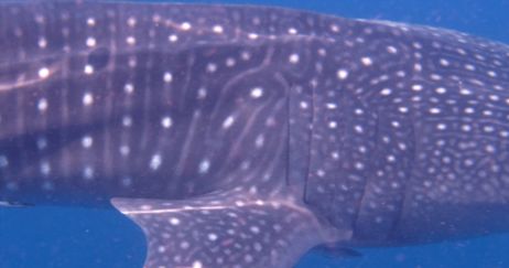 5cdfe795-ed27-415c-8373-f818c7c49622