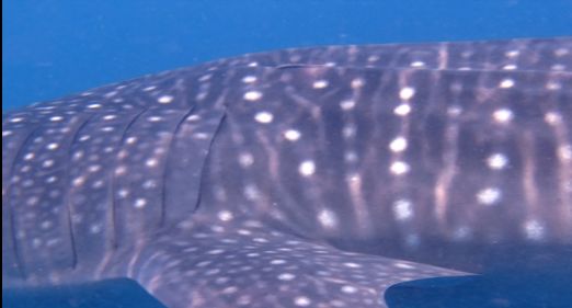 5cdfe795-ed27-415c-8373-f818c7c49622