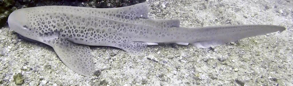 eae2a75e-bc8c-45e1-8380-6691e9f6bac3