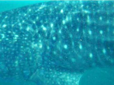 c936d3cc-ab39-467a-9939-15422ef6c449