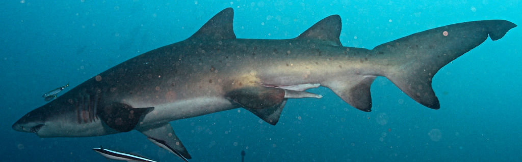 23b16c47-3e12-4c77-bd91-ddff4911bb22