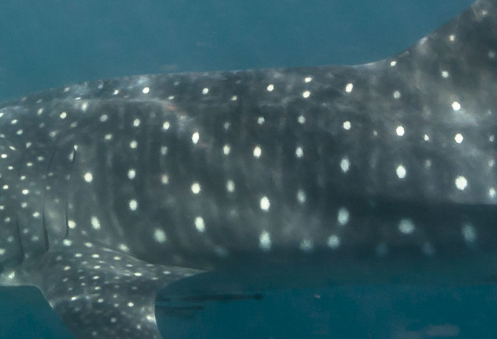 5c64125a-be46-4af2-94ae-cae7b677669d