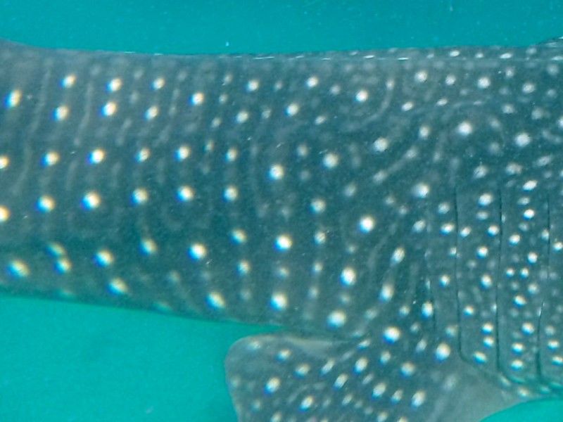 76f2f4b5-0c79-4b11-bba6-4c689d869fdb