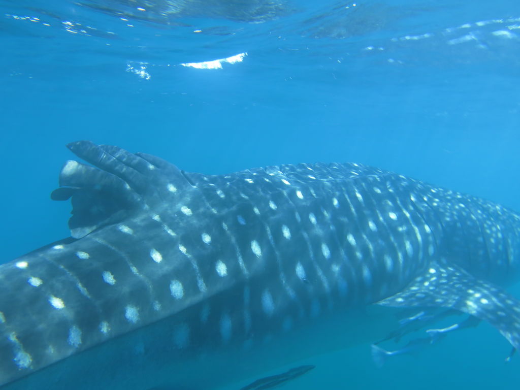 63bc75fd-75e8-430b-9ef7-9ff5a3fe0777