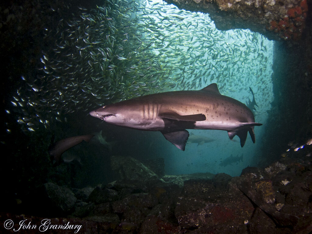 f7b19ef7-3cae-4a9b-a432-88fdb12a4674