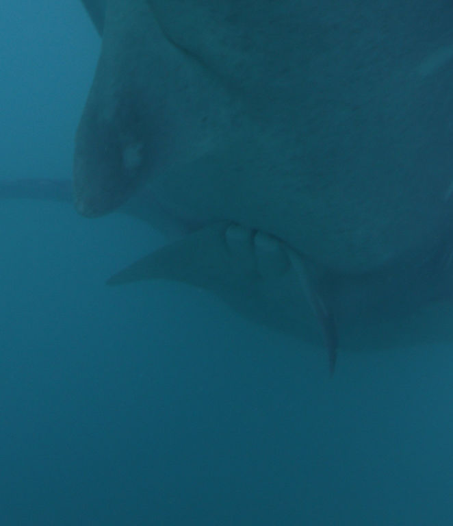 4096305a-0139-4bbb-88b7-a11b282248f1