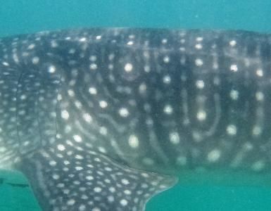 927f415b-ce50-4732-89d8-f0c333218ae2