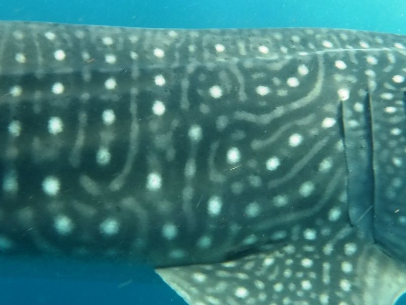 155138aa-15f2-46a4-9d20-0165604d92ca