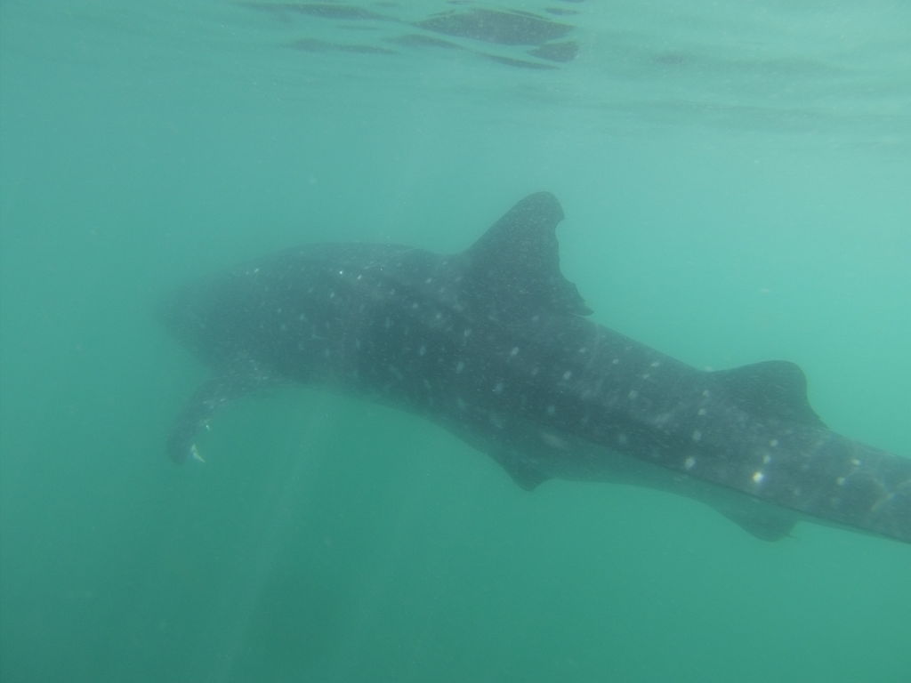 3a8a7008-02ce-4dd6-bc20-8830378e2f6c