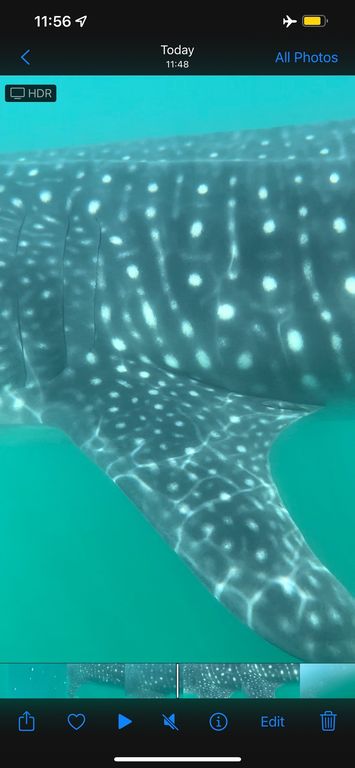 3a8a7008-02ce-4dd6-bc20-8830378e2f6c