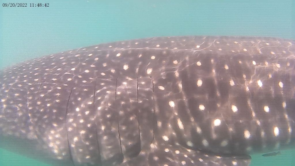 3a8a7008-02ce-4dd6-bc20-8830378e2f6c