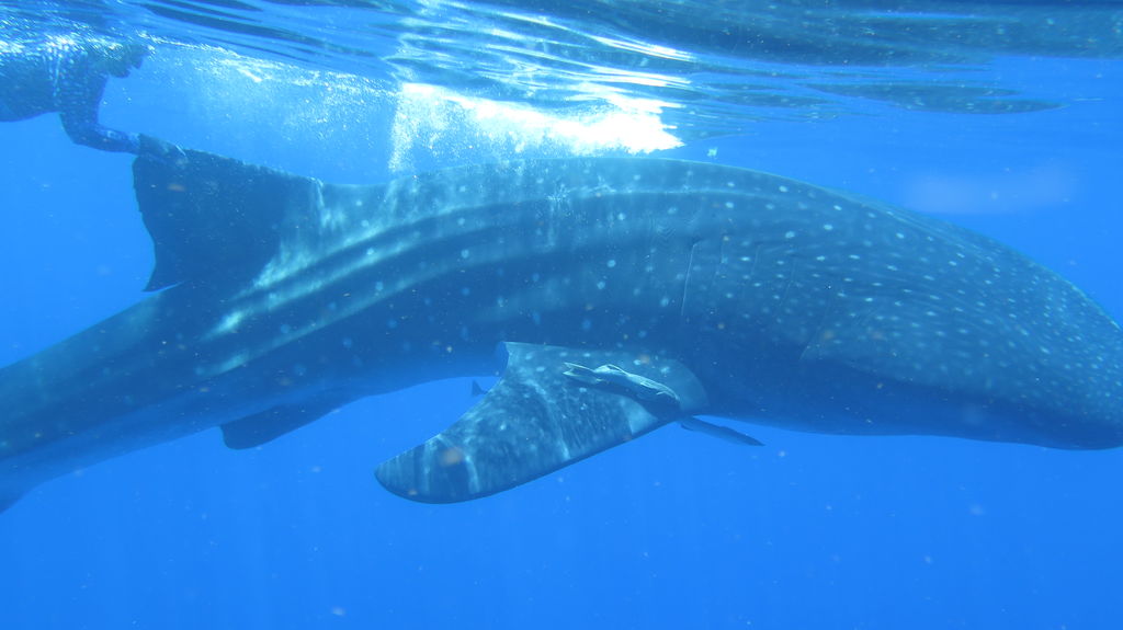 d6f0d295-4b06-4a12-87c3-e7bc1fbdc397