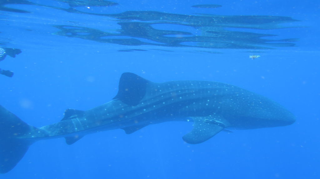 d6f0d295-4b06-4a12-87c3-e7bc1fbdc397