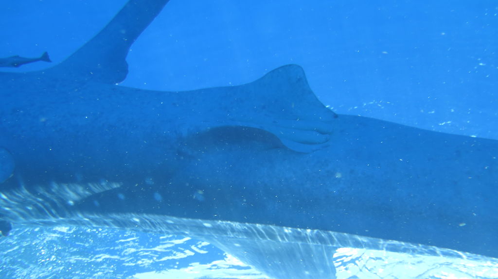 d6f0d295-4b06-4a12-87c3-e7bc1fbdc397