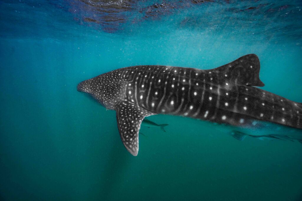 47b428d6-d3c2-46d6-8ecd-7603521be394